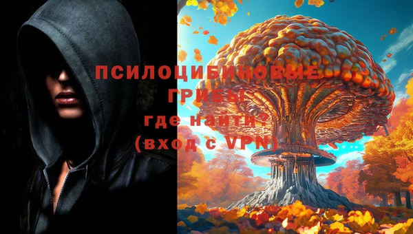 ПСИЛОЦИБИНОВЫЕ ГРИБЫ Абдулино