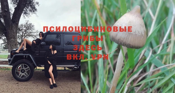 ПСИЛОЦИБИНОВЫЕ ГРИБЫ Абдулино