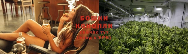 ПСИЛОЦИБИНОВЫЕ ГРИБЫ Абдулино