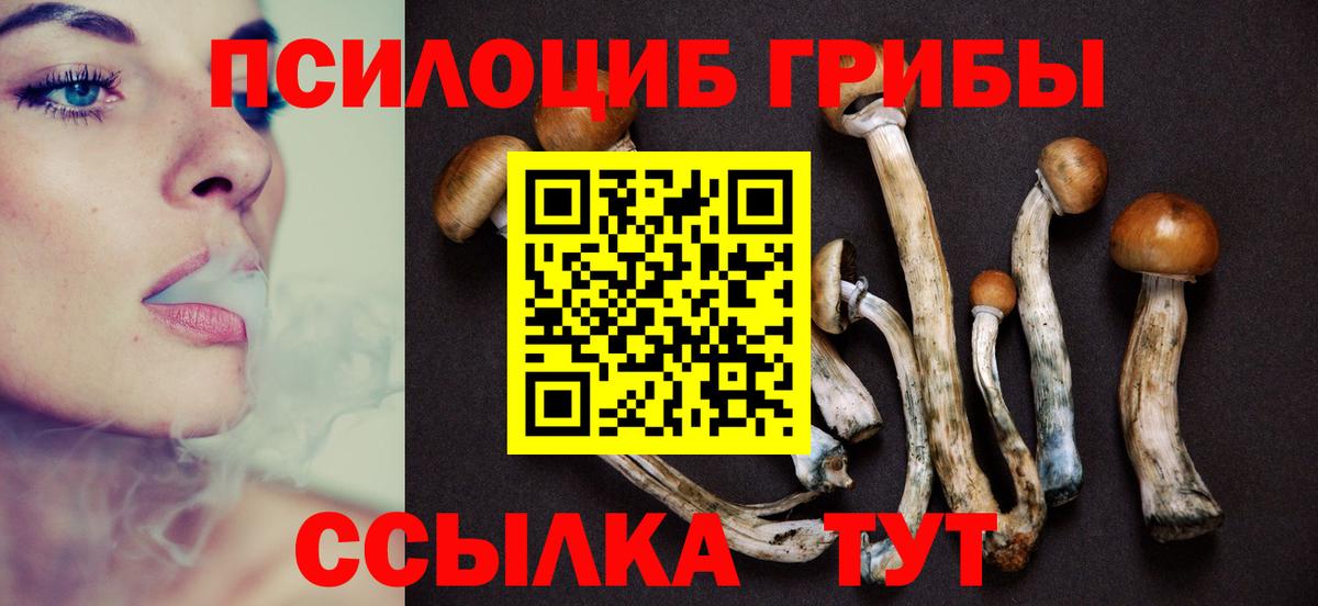 Псилоцибиновые грибы Cubensis Абакан