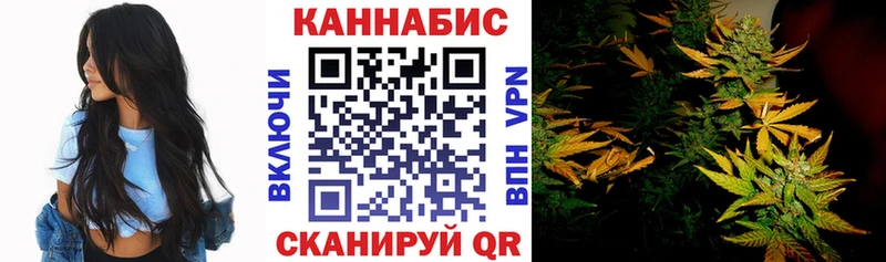 Конопля OG Kush Абакан