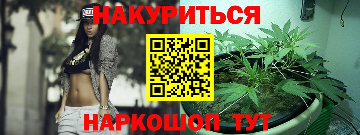 Абакан  Шишки марихуана VHQ  Марихуана план  Вход с VPN 